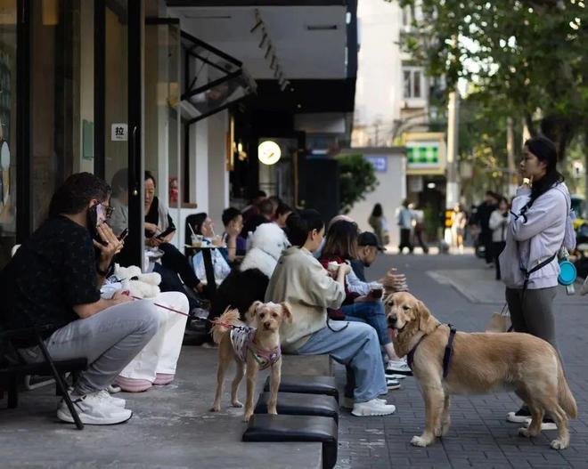 弃了双11爱上了“老年严选”OG真人平台这届脆皮年轻人抛(图4)